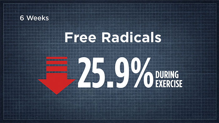 free radicals