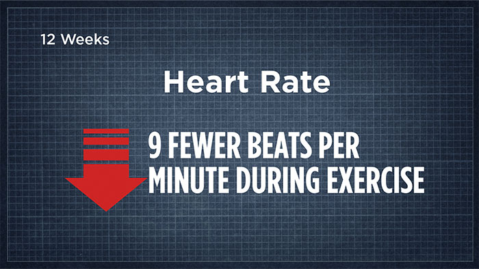 heart rate