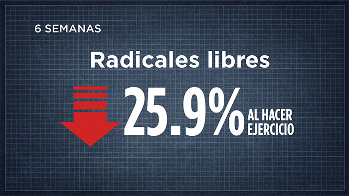 radicales libres