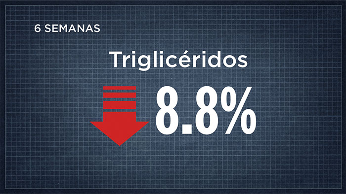 Triglicéridos