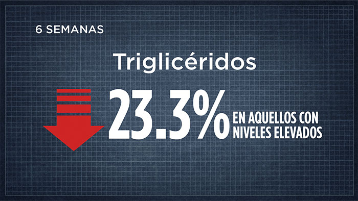 Triglicéridos