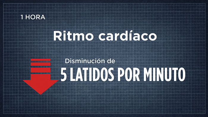 Ritmo cardíaco