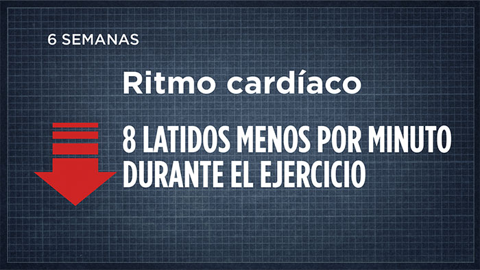Ritmo cardíaco