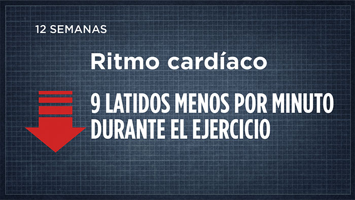 Ritmo cardíaco