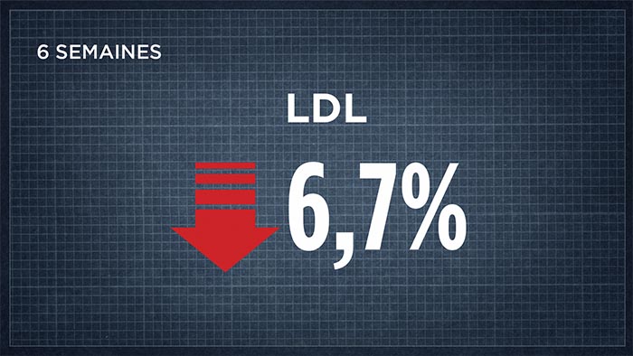 LDL