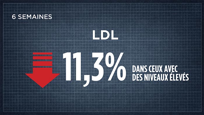 LDL